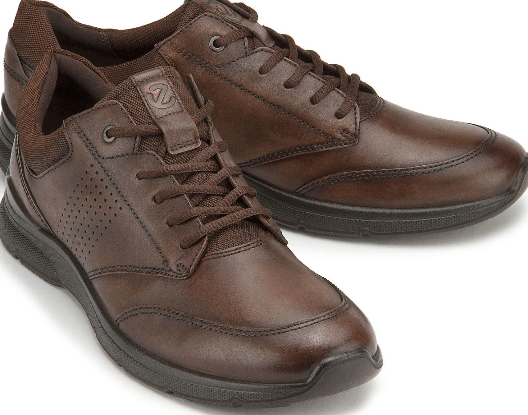 Schnürschuhe|Ecco Sneaker in Übergrößen Braun