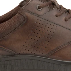 Schnürschuhe|Ecco Sneaker in Übergrößen Braun