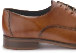 Schnürschuhe|Business-Schuhe|lloyd Schnürschuh in Übergrößen Braun