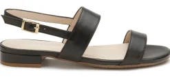 Sandalen|Horsch Schuhe Sandale in Untergrößen Schwarz