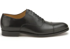 Schnürschuhe|Business-Schuhe|Horsch Schuhe Schnürer in Übergrößen