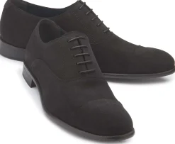 Schnürschuhe|Business-Schuhe|Horsch Schuhe Schnürschuhe in Übergrößen Schwarz