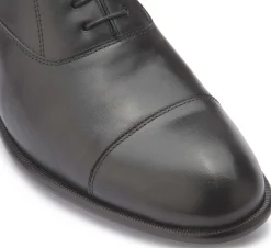 Schnürschuhe|Business-Schuhe|Horsch Schuhe Schnürschuhe in Übergrößen Schwarz