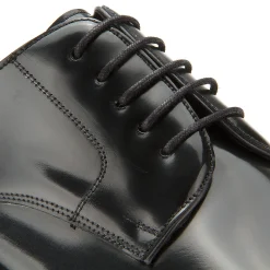 Schnürschuhe|Business-Schuhe|Horsch Schuhe Schnürschuhe in Übergrößen