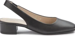 Sling|Sandalen|Horsch Schuhe Sling in Untergrößen Schwarz