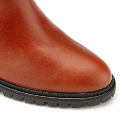 Stiefeletten|Horsch Schuhe Stiefelette in Übergrößen Braun