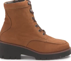 Stiefeletten|Horsch Schuhe Stiefelette in Untergrößen Braun
