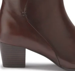 Stiefeletten|Everybody Stiefelette in Untergrößen Braun