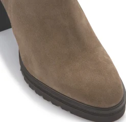 Stiefeletten|Horsch Schuhe Stiefelette in Untergrößen Grün