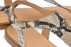 Zehentrenner|Sandalen|Horsch Schuhe Zehentrenner in Übergrößen Multicolor