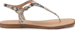Zehentrenner|Sandalen|Horsch Schuhe Zehentrenner in Untergrößen Multicolor