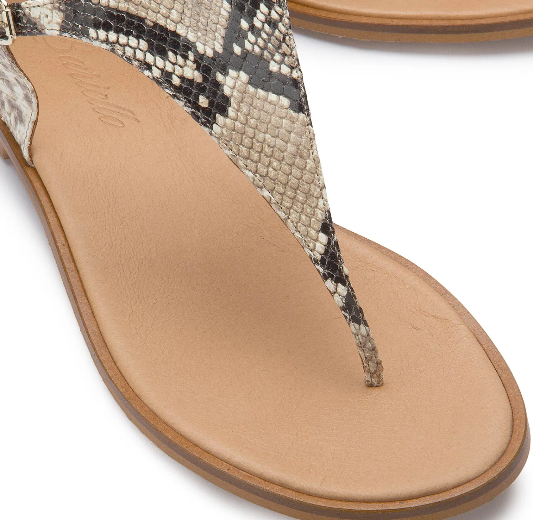 Zehentrenner|Sandalen|Horsch Schuhe Zehentrenner in Untergrößen Multicolor